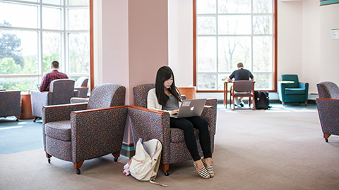 A student sitting at a lounge chair working on their laptop.